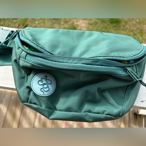 Limited edition teal/green/blue baboon to the moon fannypack